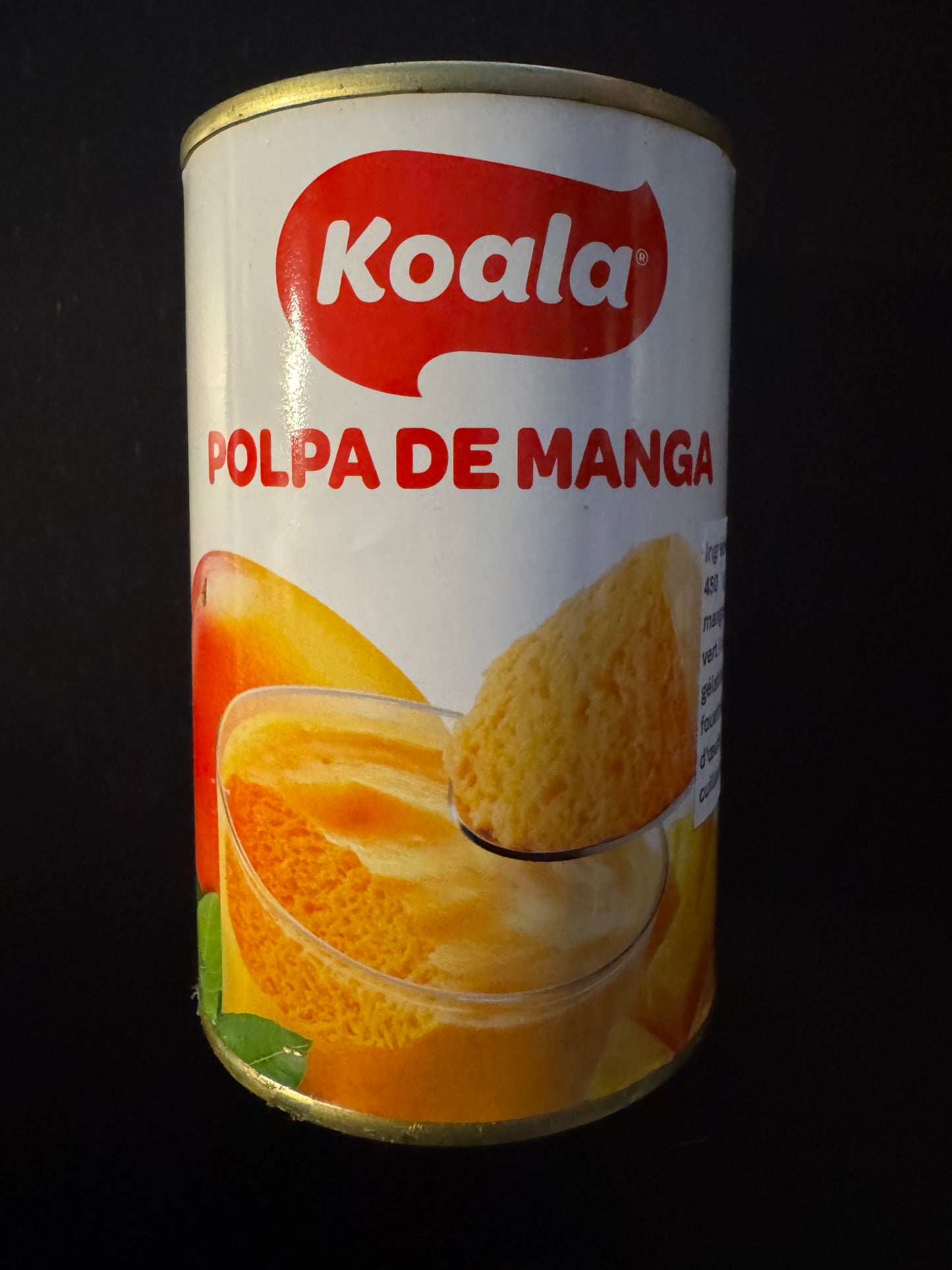 Polpa de Manga 450g