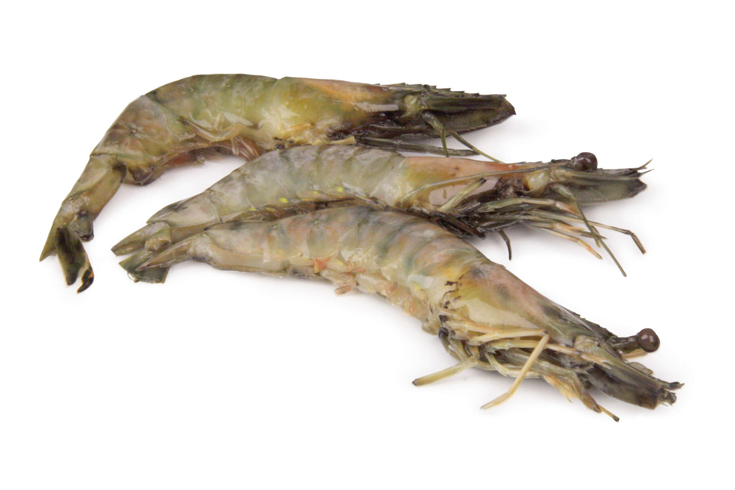 Camarão 16/20 Frijobel 750g CONGELADO